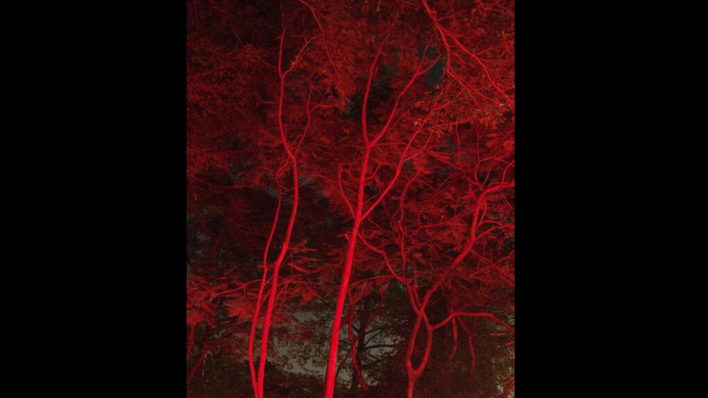 Christopher Anderson. Courtesy of Danziger Gallery