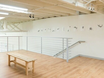 Manifestos, Exhibition view. Courtesy of Ochi Projects