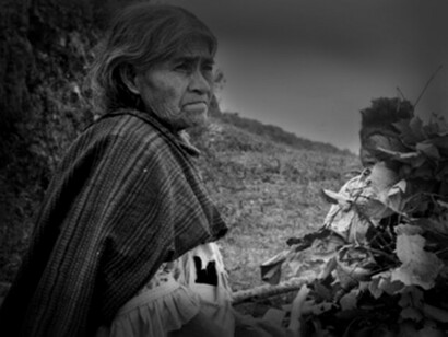 Estuvimos en Huautla para investigar sobre María Sabina y la medicina de los hongos sagrados