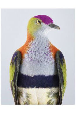 Leila Jeffreys. Courtesy of Purdy Hicks Gallery