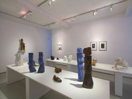 Installation view of Mixed Display 2014 at Marsden Woo Gallery, photo © Philip Sayer, courtesy of Marsden Woo Gallery, London