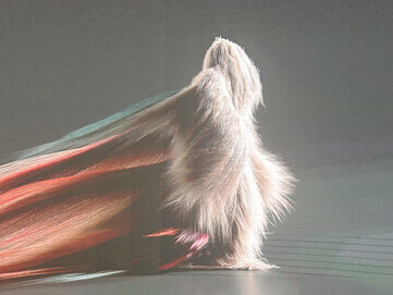 Transguration (2024), Universal Everything