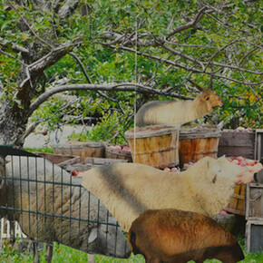 The Children’s Republic. Courtesy of Wallraf-Richartz-Museum