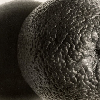 Elfriede Stegemeyer. Courtesy of Galerie Julian Sander