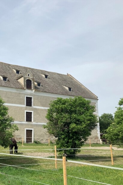 Il deposito di granaglie di Essling, foto di Flavius Roversi