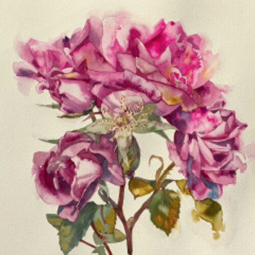 Kay Sirikul Pattachote