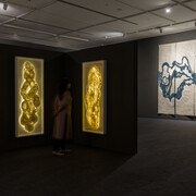 Ruma Choudhury, Elemental encounters: practice as ecological archive, exhibition view. Courtesy of Emami Art