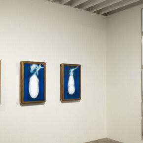 Videre Licet. Courtesy of The New