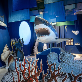 Elogio della diversità. Viaggio negli ecosistemi italiani, vista della mostra. Con la gentile concessione del Palazzo Esposizioni Roma