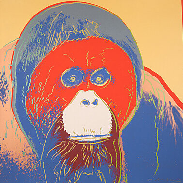 Andy Warhol, Orangutan,
aus dem Portfolio "Endangered Species" von 10, Farbsiebdrucken,
Farbsiebdruck 1983,
96,5 x 96,5 cm
