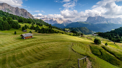 Distesa di erba con panorama sui monti