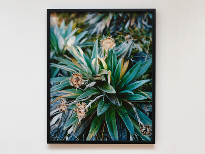 Conor Clarke and Jo Burzynska, Rongo, exhibition view. Courtesy of Two Rooms