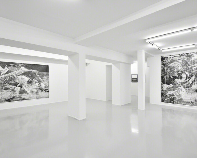 Zone, Exhibition view. Courtesy of Suzanne Tarasieve