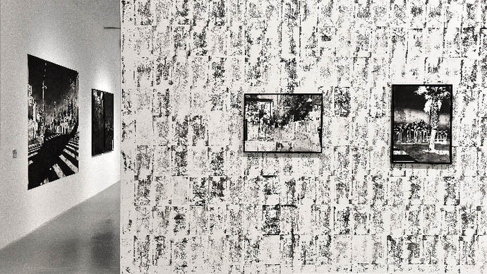 Maxime Duveau. Courtesy of Galerie Houg