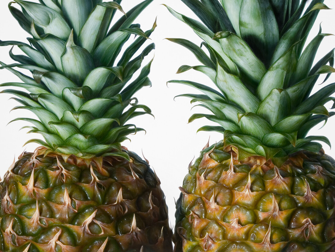 Antonio Castelló Avilleira, Pineapples, Oil on linen, 97 x 195 cm
