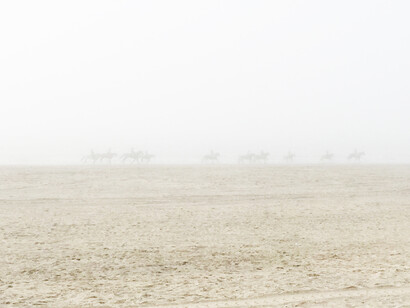 Silent horses