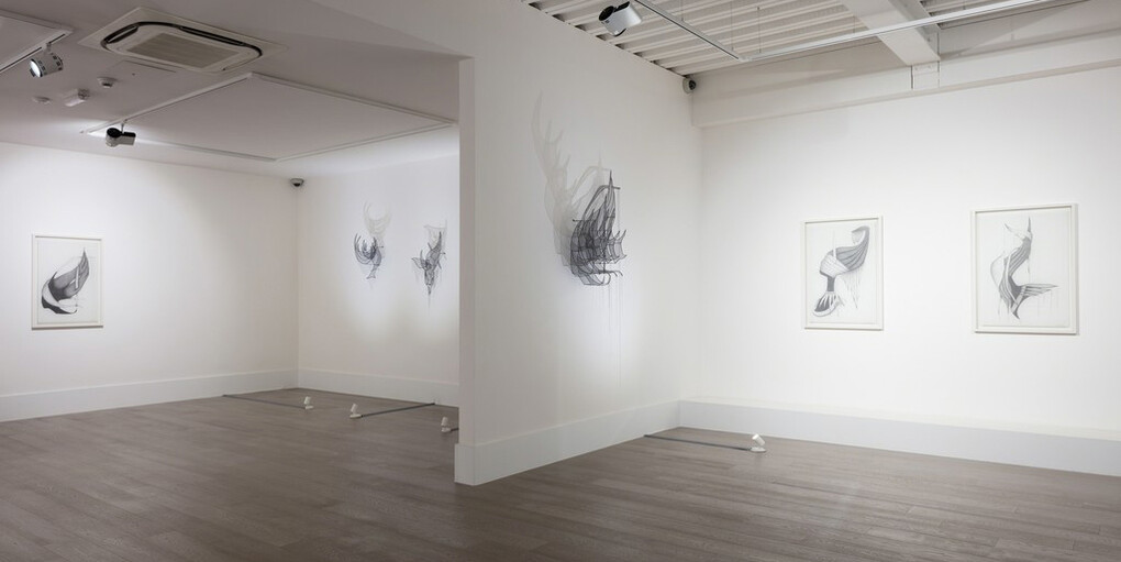 Afruz Amighi. Courtesy of Sophia Contemporary