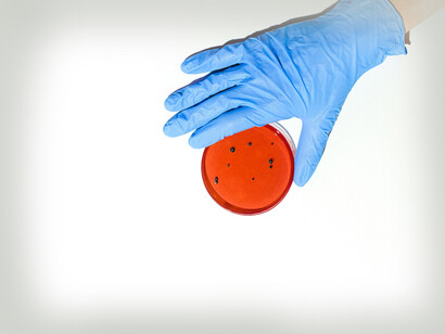 El progreso humano y la cultura universal se basan en los avances de la ciencia y la tecnología