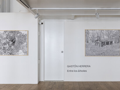 Gastón Herrera, Entre los árboles, vista de exhibición. Cortesía de Praxis