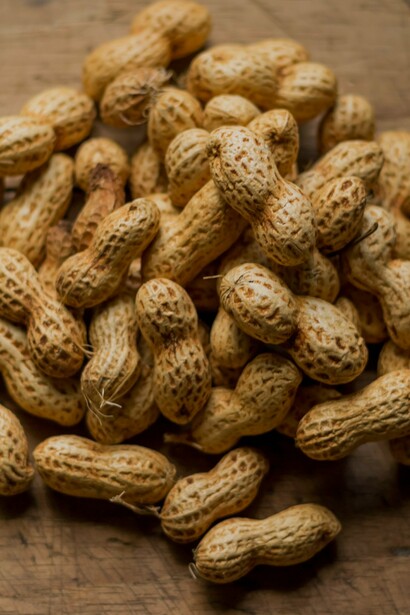 Peanuts in shells called monkey-nuts 