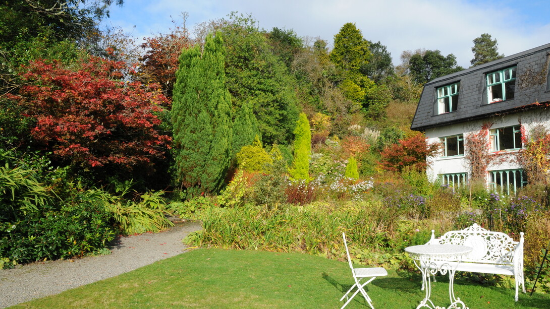 Nel giardino e nel bosco il tripudio primaverile di azalee, camelie e rododendri in autunno lascia il posto ai colori degli arbusti, foto Enzo Valenti