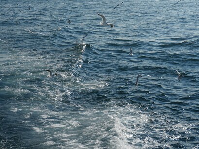 Porque a arte não é mera disciplina do detalhe, a arte transporta ideias e exige debate, a qualquer hora do dia, com qualquer intensidade


