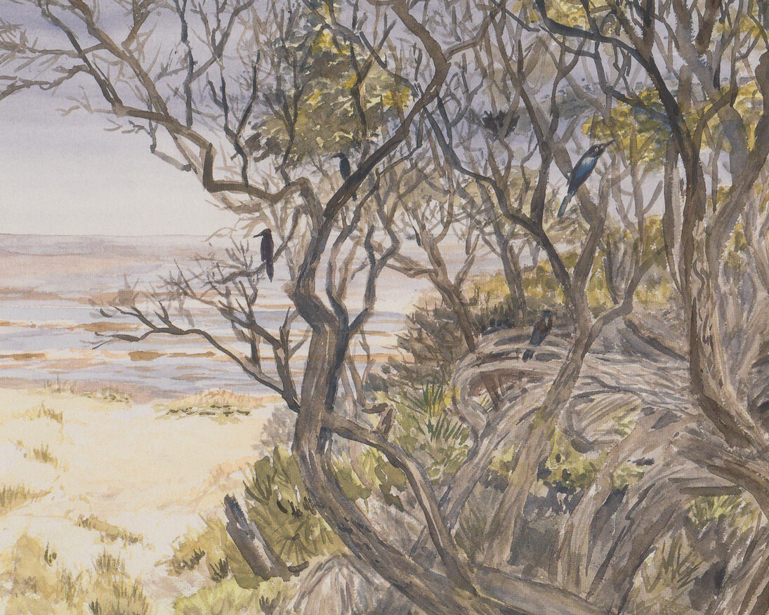 Martha Odum. Courtesy of Georgia Museum of Art