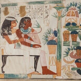 Affresco dalla cosiddetta Tomba di Nakht, TT52 (Theban Tomb 52) con una scena di vendemmia. Rilevata tra il 198 e il 1910 da Norman de Garis Davies per il Metropolitan Museum of Art di New York, USA