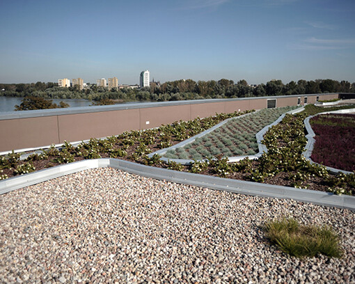 Garden on the rooftop. Courtesy of Copernicus Science Centre 