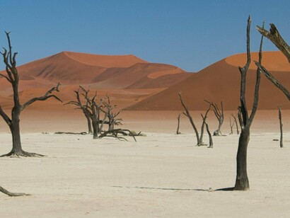 A verdade é dura, mas inegável: não é só culpa dos governos. Não é só responsabilidade das ONGs. É culpa e responsabilidade nossa, que não cobramos, que não policiamos a atitude de nossos governantes
