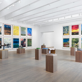 Rinus Van de Velde, exhibition view. Courtesy of Tim Van Laere Gallery