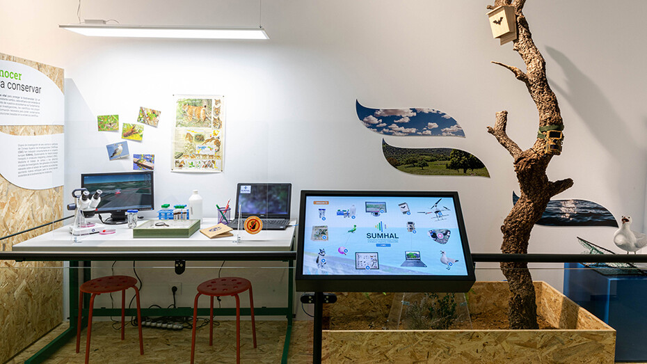 Andalucía laboratorio de biodiversidad, vista de exhibición. Cortesía de Casa de la Ciencia