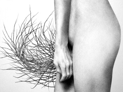 Roberta Congiu, Frammentazione #20, penna a sfera su carta, 2019