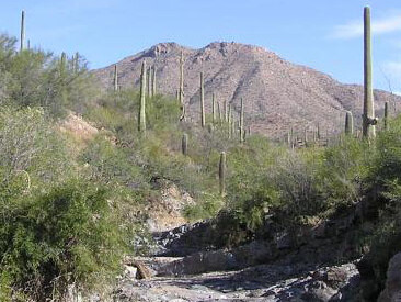 Ecosystems. Courtesy of California Science Center