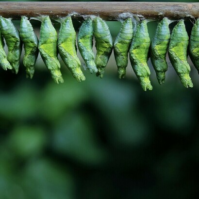 Kazan a accueilli la première session plénière du 16e sommet des BRICS dans le cadre du programme « Outreach/BRICS+ » 