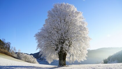 Secondo la teoria Yin-Yang, con la stagione invernale siamo entrati nel massimo Yin, nel periodo più freddo