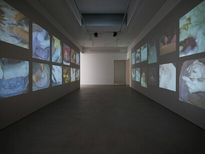 Verschiedene künstler, The lure of the image (wie bilder im netz), ausstellungsansicht. Mit freundlicher genehmigung des Fotomuseum Winterthur