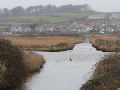 RSPB Lodmoor is impressively rich for a site so close to a city centre © Gehan de Silva Wijeyeratne