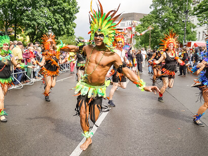 A bird man leads his flock