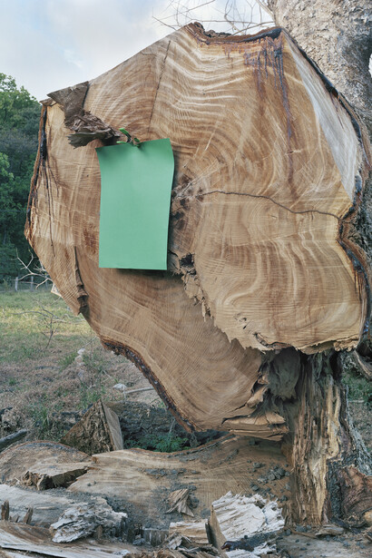 Elizabeth Bishop, 2011. Louise Crane. Near Sámara, Costa Rica, Archival pigment print, printed 2015, 30 x 24 inches, Edition of 5, 2APs
RWFA