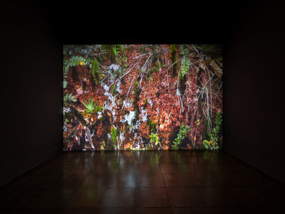 Luz María Bedoya, Other scores of water, exhibition view. Courtesy of proyectoamil