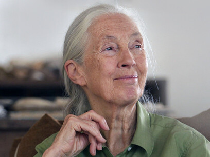 Jane Goodall 