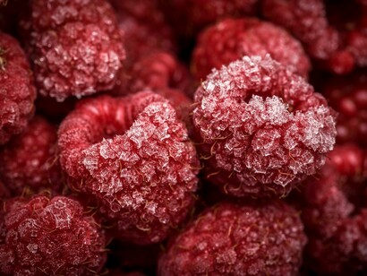 Frutas y frutos frescos con antioxidantes