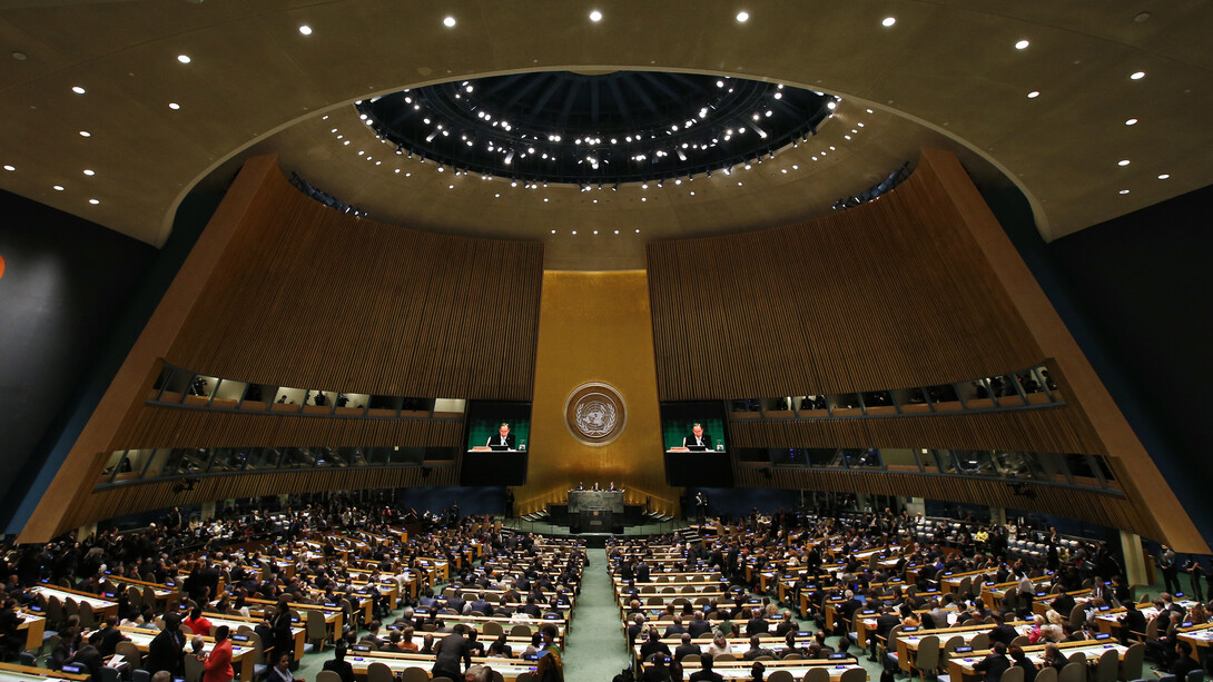 Asamblea General de las Naciones Unidas