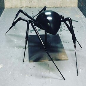 Spiders. Courtesy of ROM