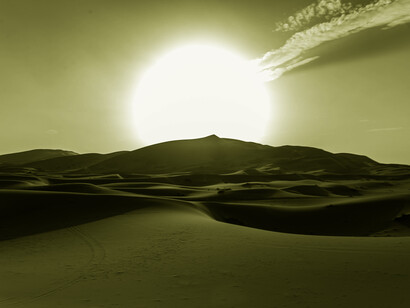 Oasi nel deserto