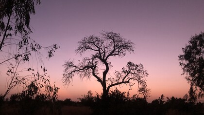 Malgré les défis, la décentralisation représente une opportunité unique pour le Mali de construire un modèle de gouvernance participatif et inclusif