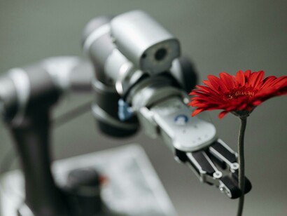 A robot holds a red flower, contrasting technology with fragility