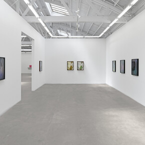 Sherin Guirguis, Into the lake of fire  // ⲉ̀ϧⲟⲩⲛ ⲉ̀ϯⲗⲩⲙⲛⲏ ⲛ̀ⲭ̀ⲣⲱⲙ, exhibition view. Courtesy of Luis De Jesus Los Angeles 