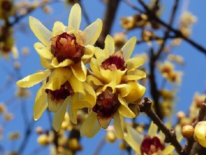 A volte è un dolore  conosciuto, che lasci entrare con fiducia
